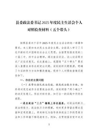 县委政法委书记2025年度民主生活会个人对照检查材料（五个带头）