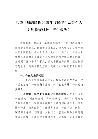 县统计局副局长2025年度民主生活会个人对照检查材料（五个带头）