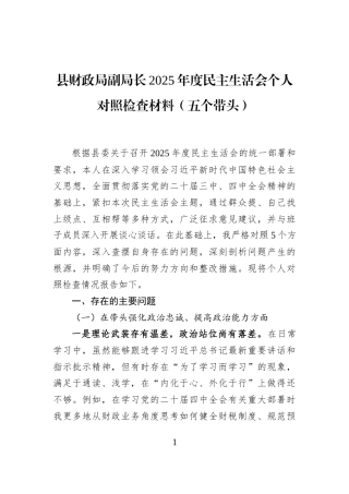 县财政局副局长2025年度民主生活会个人对照检查材料（五个带头）