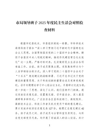 市局领导班子2025年度民主生活会对照检查材料