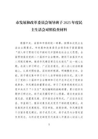 市发展和改革委员会领导班子2025年度民主生活会对照检查材料
