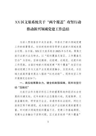 XX区文旅系统关于“两个覆盖”攻坚行动推动新兴领域党建工作总结
