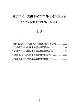 党委书记、党组书记2025年专题民主生活会对照检查材料汇编（5篇）