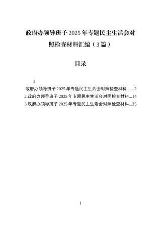 政府办领导班子2025年专题民主生活会对照检查材料汇编（3篇）