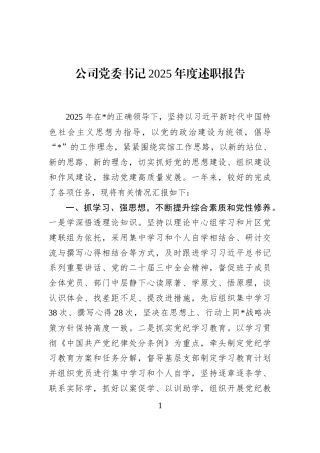 公司党委书记2025年度述职报告