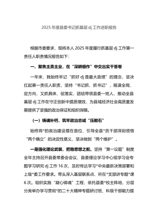 2025年度县委书记抓基层党建工作述职报告