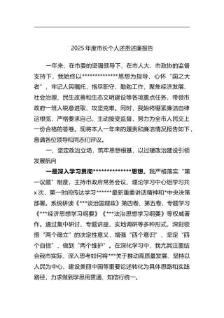 2025年度市长个人述责述廉报告