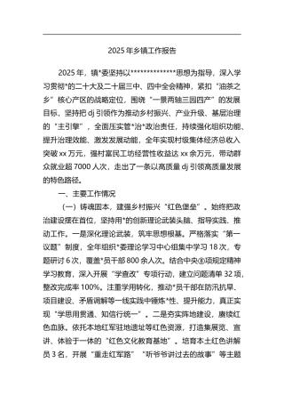 2025年乡镇工作报告