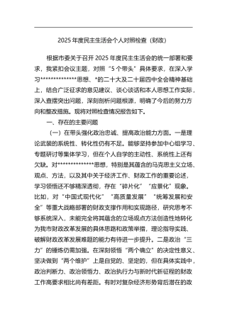 2025年度民主生活会个人对照检查（财政）