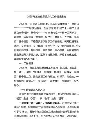 2025年度宣传思想文化工作情况报告