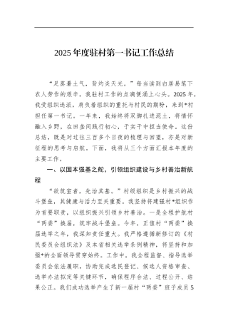 2025年度驻村第一书记工作总结