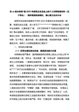 在XX县水务局2025年度民主生活会上的个人对照检查材料（五个带头）：剖析根源找准病灶，凝心聚力治水兴水