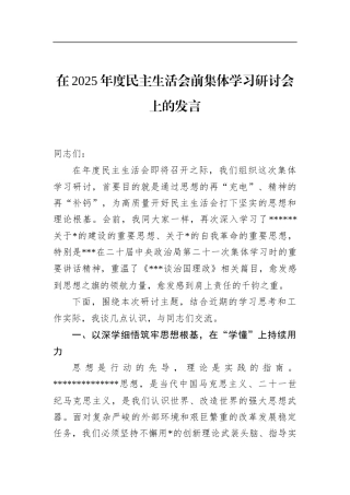 在2025年度民主生活会前集体学习研讨会上的发言