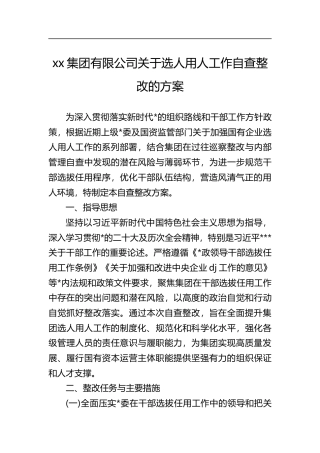 集团有限公司关于选人用人工作自查整改的方案