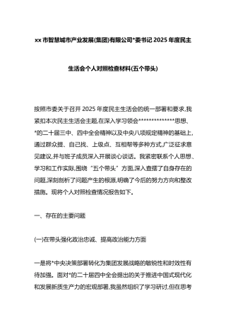 市智慧城市产业发展(集团)有限公司书记2025年度民主生活会个人对照检查材料(五个带头)