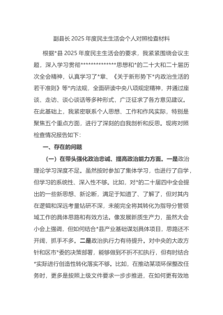 副县长2025年度民主生活会个人对照检查材料
