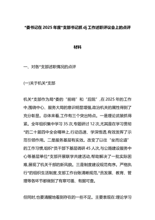 书记在2025年度支部书记抓党建工作述职评议会上的点评材料