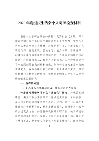 2025年度组织生活会个人对照检查材料
