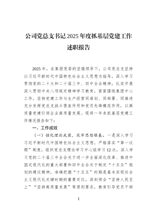 公司党总支书记2025年度抓基层党建工作述职报告