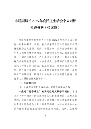 市局副局长2025年度民主生活会个人对照检查材料（带案例）