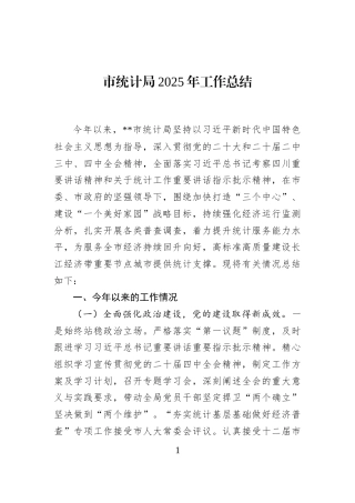 市统计局2025年工作总结