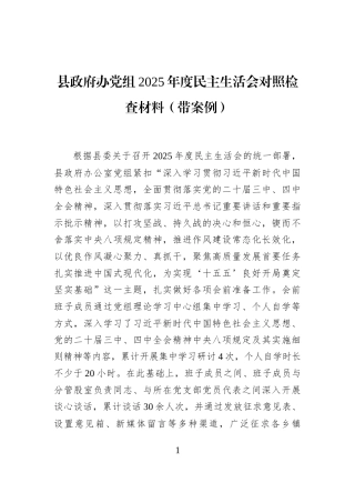 县政府办党组2025年度民主生活会对照检查材料（带案例）
