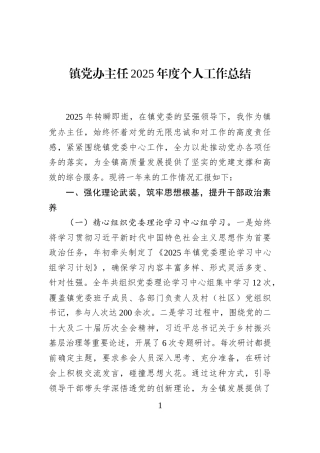 镇党办主任2025年度个人工作总结