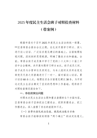2025年度民主生活会班子对照检查材料（带案例）