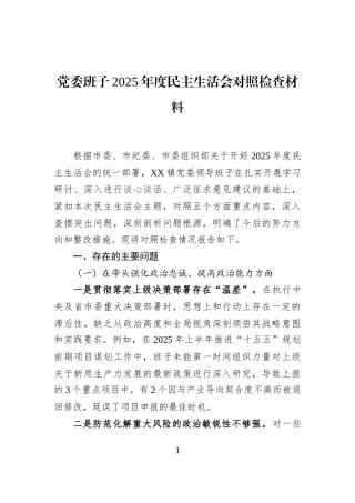 党委班子2025年度民主生活会对照检查材料