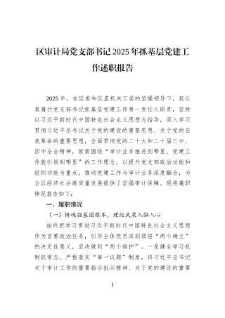 区审计局党支部书记2025年抓基层党建工作述职报告