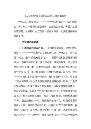 2025年度书记抓基层党建工作述职报告