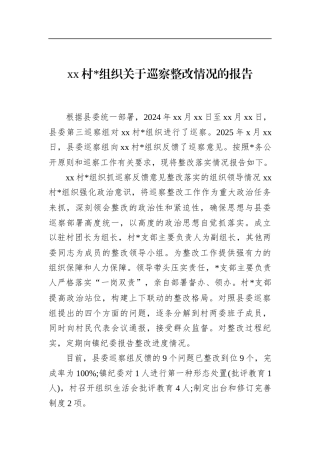 村党组织关于巡察整改情况的报告