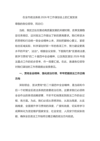 在全市政法系统2026年工作谋划会上的汇报发言