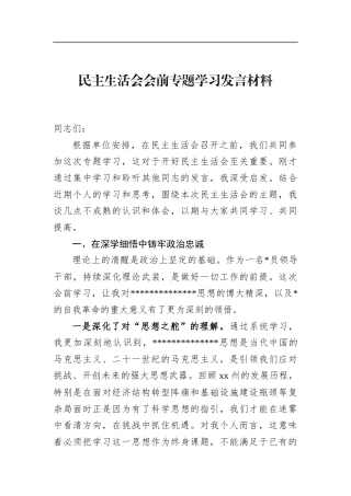 民主生活会会前专题学习发言材料