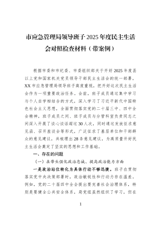 市应急管理局领导班子2025年度民主生活会对照检查材料（带案例）