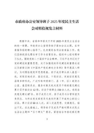 市政府办公室领导班子2025年度民主生活会对照检视发言材料