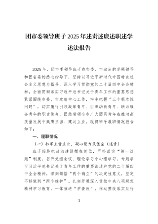 团市委领导班子2025年述责述廉述职述学述法报告