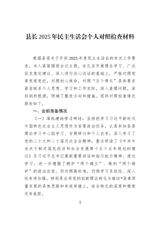 县长2025年民主生活会个人对照检查材料