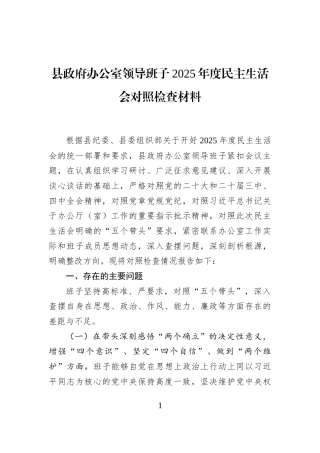 县政府办公室领导班子2025年度民主生活会对照检查材料