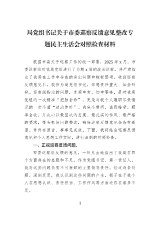 局党组书记关于市委巡察反馈意见整改专题民主生活会对照检查材料