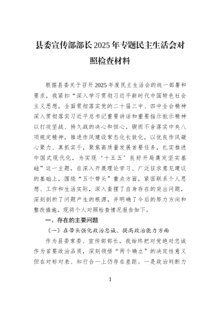 县委宣传部部长2025年专题民主生活会对照检查材料
