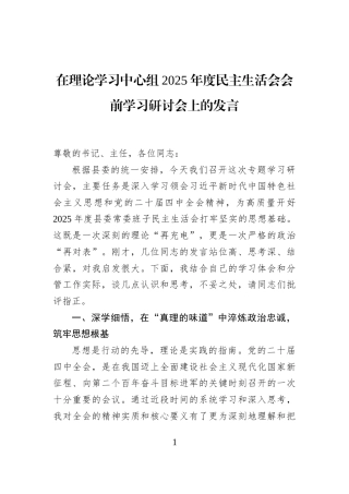 在理论学习中心组2025年度民主生活会会前学习研讨会上的发言