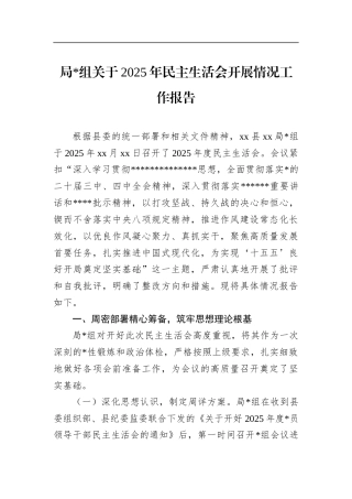 局关于2025年民主生活会开展情况工作报告