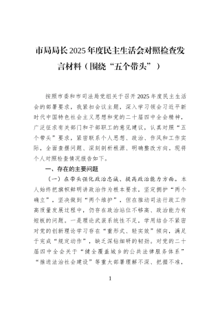 市局局长2025年度民主生活会对照检查发言材料（围绕“五个带头”）