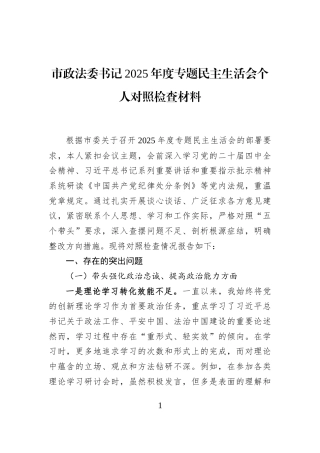市政法委书记2025年度专题民主生活会个人对照检查材料