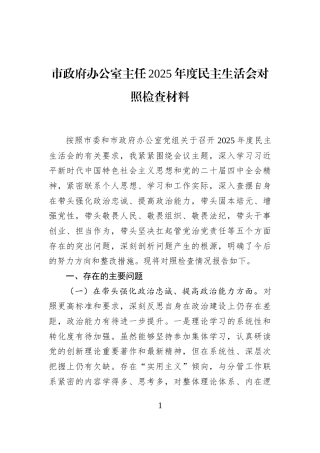 市政府办公室主任2025年度民主生活会对照检查材料