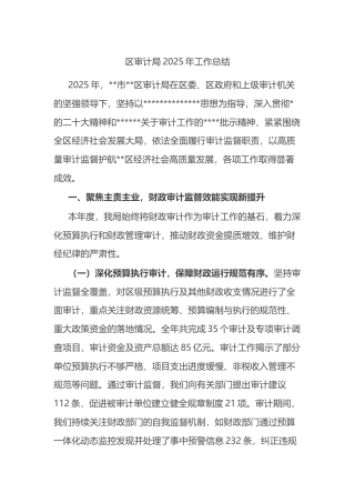 区审计局2025年工作总结