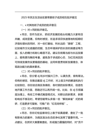 2025年民主生活会区委常委班子成员相互批评意见