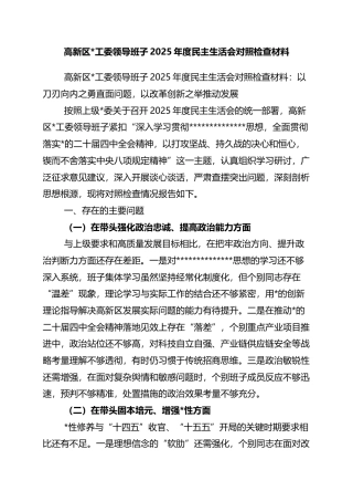 高新区领导班子2025年度民主生活会对照检查材料