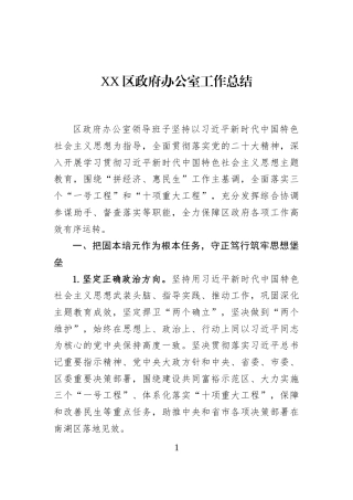XX区政府办公室工作总结